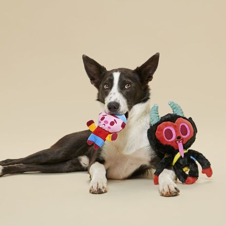 dog playing with krampus dog toy
