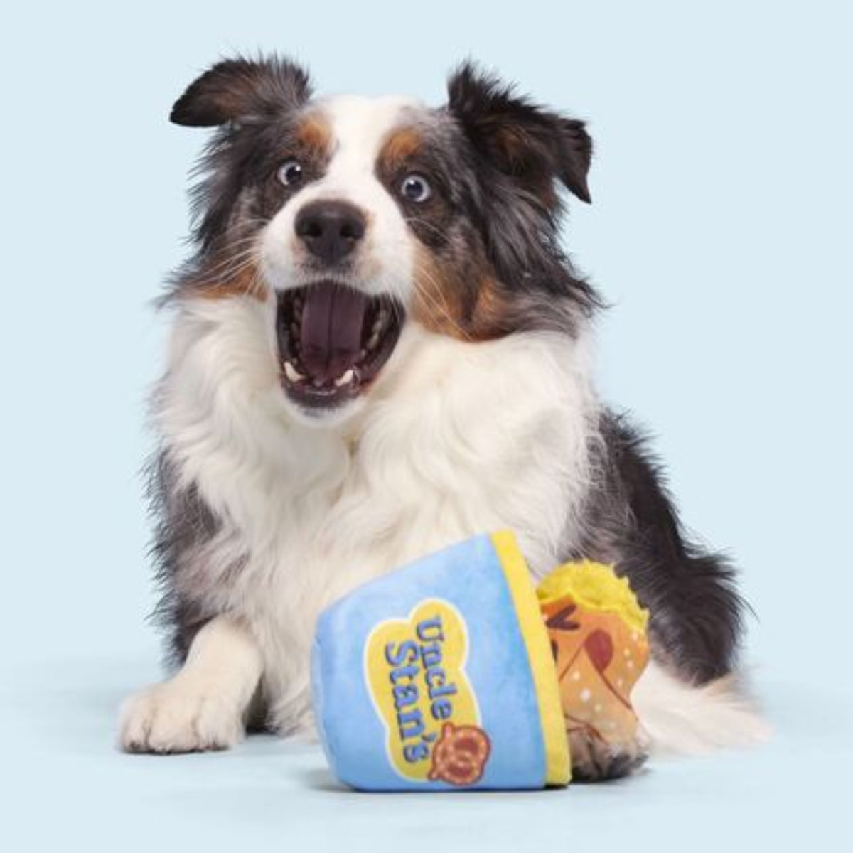 Salty Stan Plush Multi-Part Dog Toy