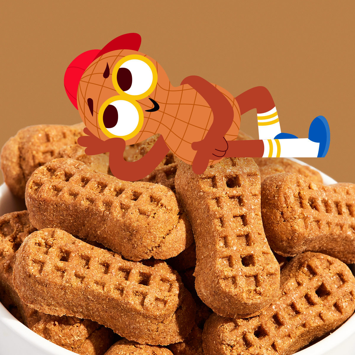 Go Nutty's™ Soft baked Dog Treats - Honey Peanut Flavor