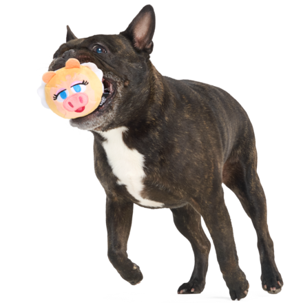 The Muppet Kermit & Miss Piggy Super Chewer Bundle