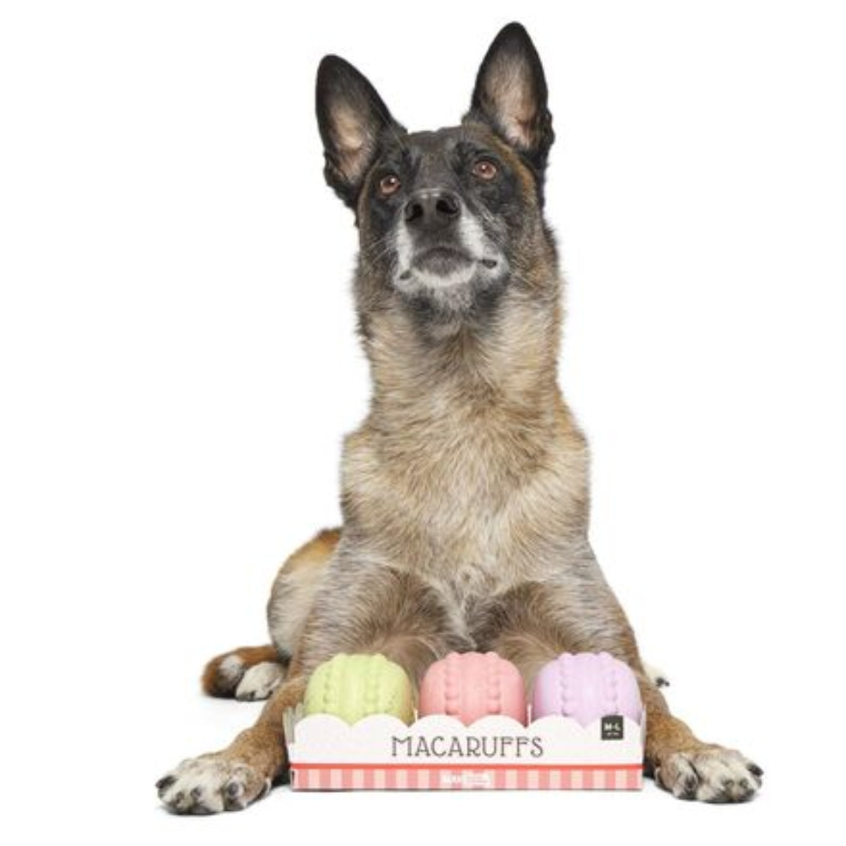Macaruffs Durable Super Chewer Multi-Part Dog Toy