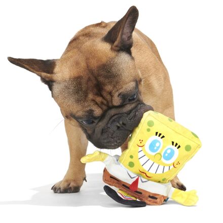 Plush SpongeBob Bundle#Size_S