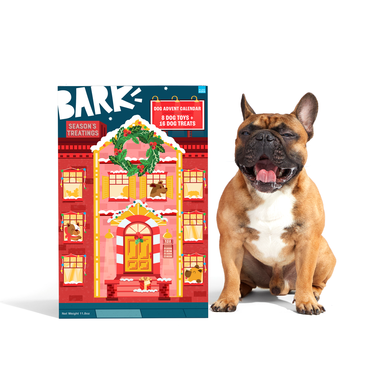 frenchie next to dog advent calendar
