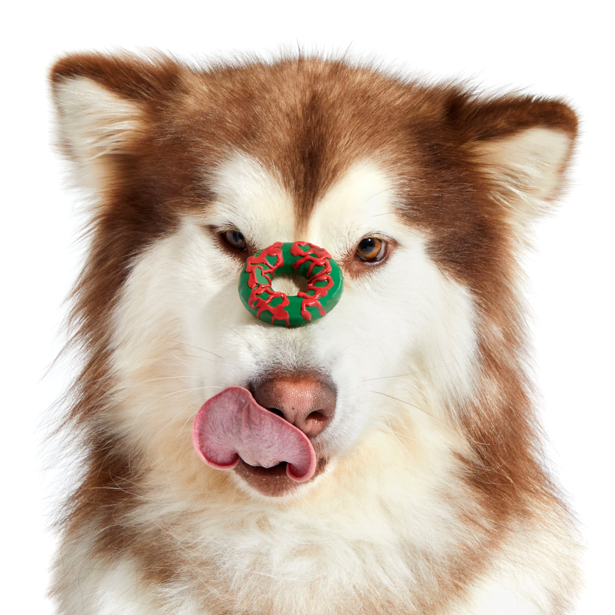 Season's Treatings Toy & Treat Dog Advent Calendar ($75 Value)