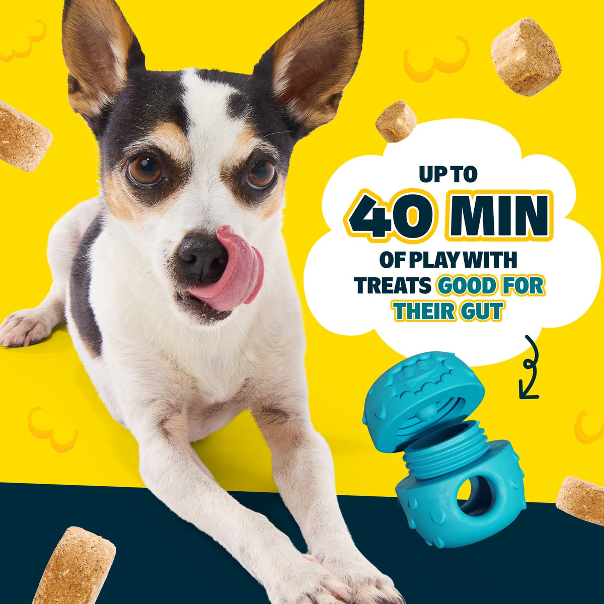900431-Licksters-Combo-Kit-S_PT03_cropped#Size_S