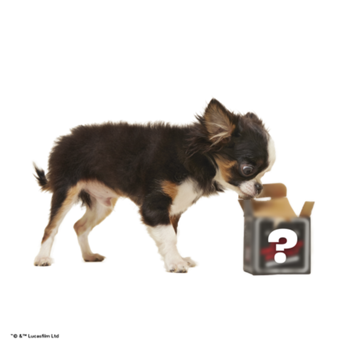 Star Wars™ Droid Smugglers Club, Super Chewer Durable Monthly Dog Toys