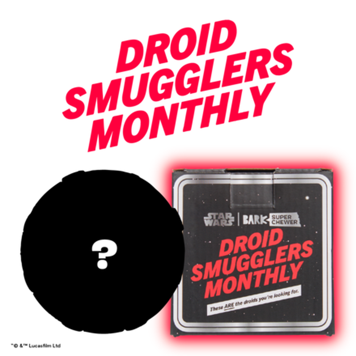 Star Wars™ Droid Smugglers Club, Super Chewer Durable Monthly Dog Toys