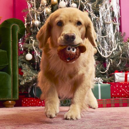 The Muppet Rizzo & Gonzo Super Chewer Bundle