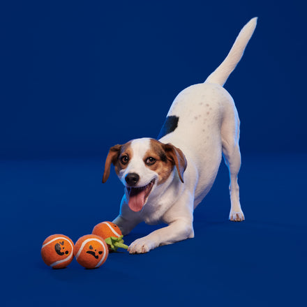 Chuckin' Pumpkins Plush Multi-Part Tennis Ball Dog Toy
