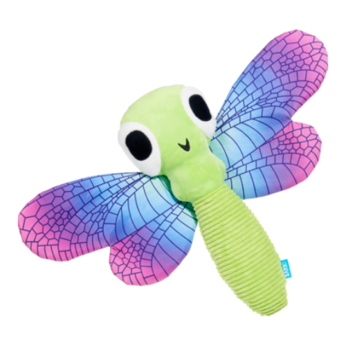 Dragonfly Guy
