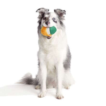 Lucky Larry Leprechaun Super Chewer Durable 2-in-1 Dog Toy