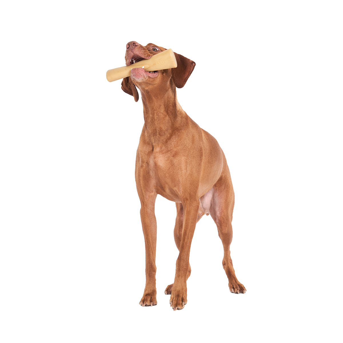 Mighty Bone Bacon Super Chewer Durable Gnaw Dog Toy