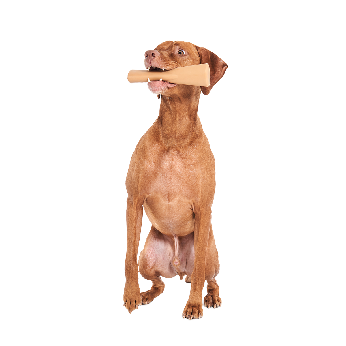 Mighty Bone Bacon Super Chewer Durable Gnaw Dog Toy
