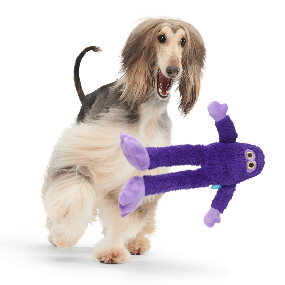 Super Chewer No Nylon 6 Mo. Subscription