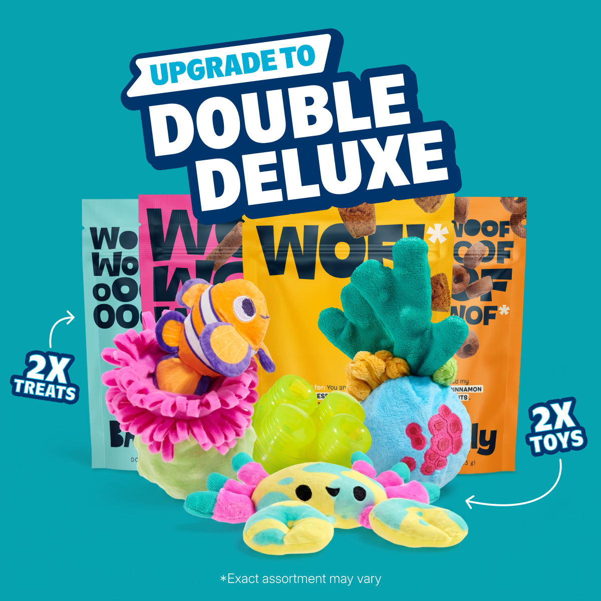 Combo Box Double Deluxe Toys & Treats Upgrade – BARK