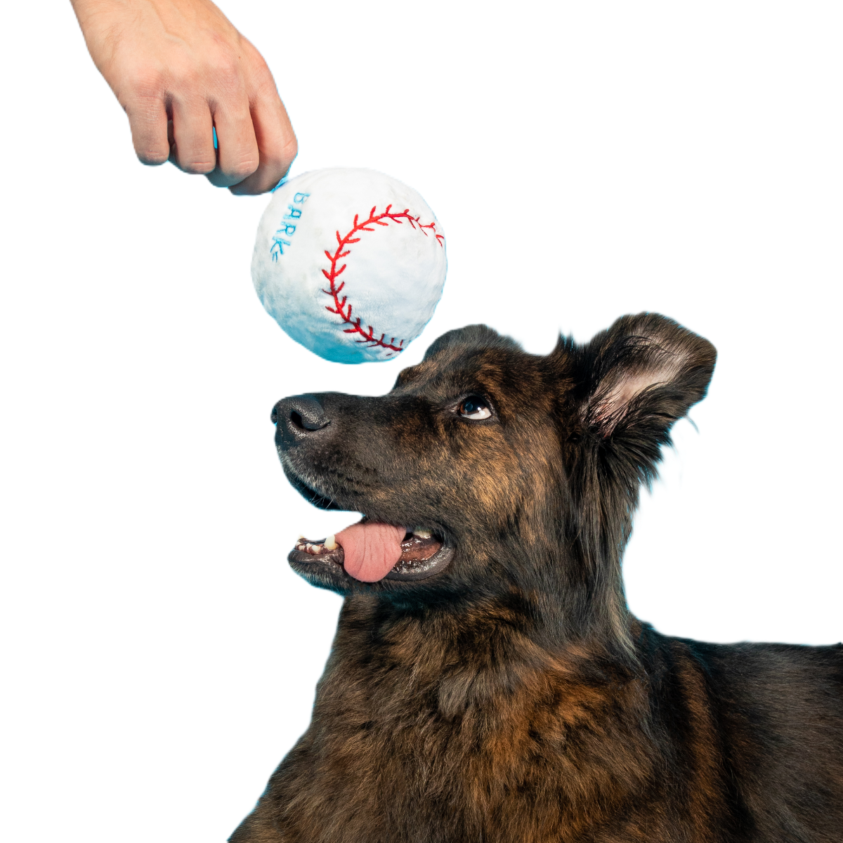 Major Lick Baseball Plush Fetch Dog Toy