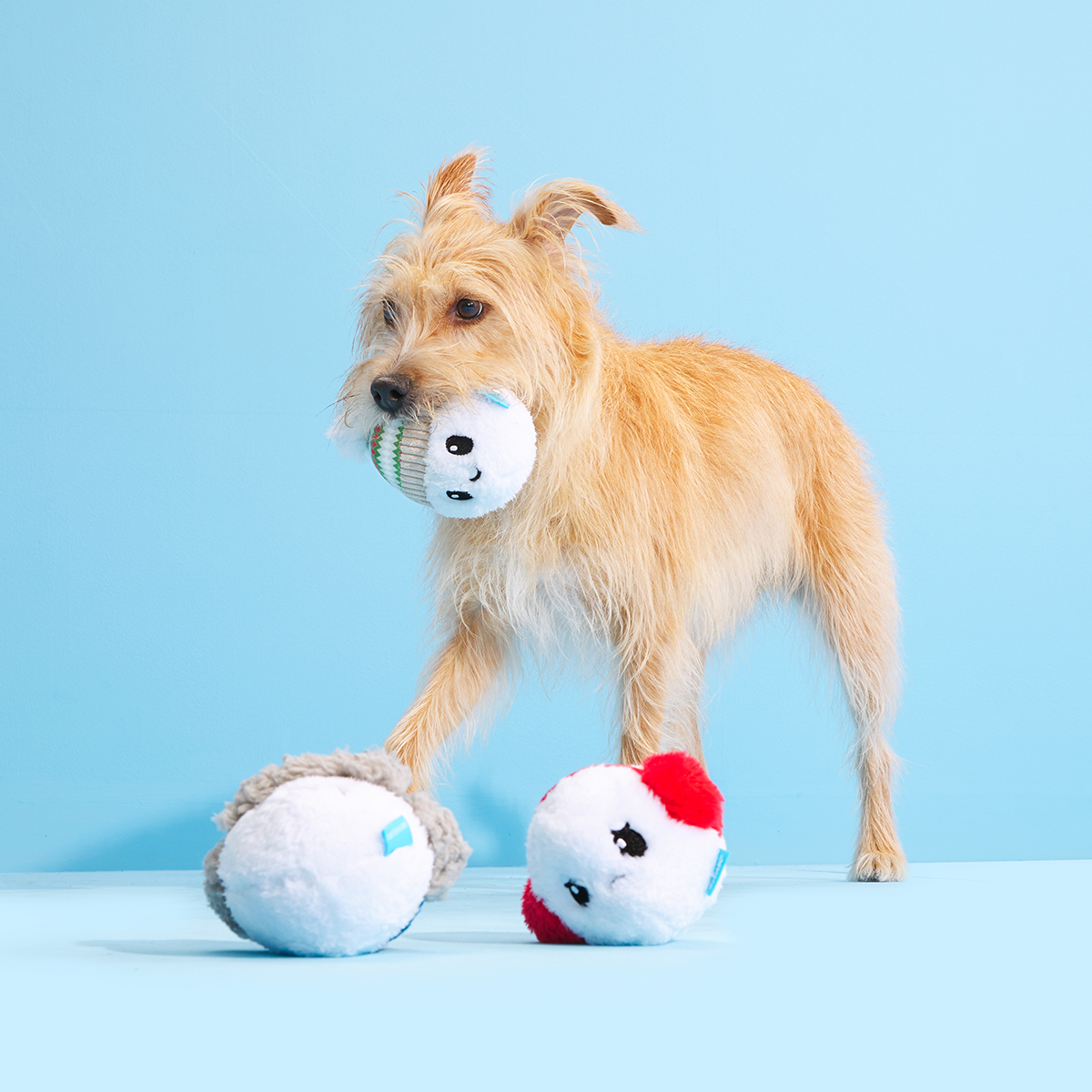 Snowman Dog Toys + Dog Scarf & Human Hat Holiday Gift Box