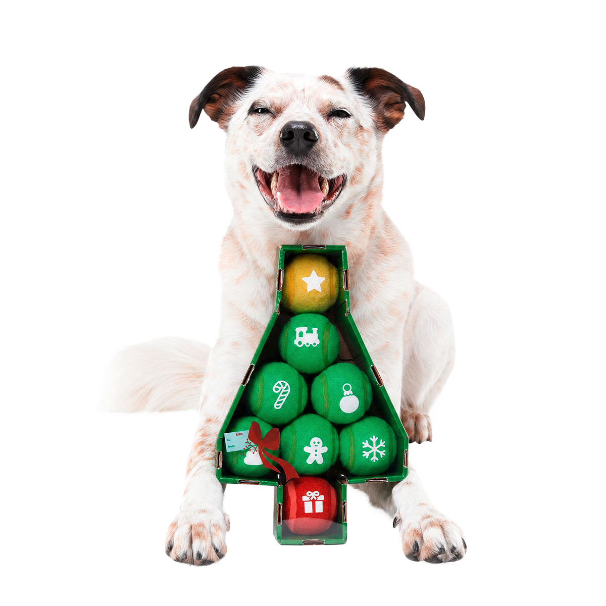 Deck The Balls Plush 8 Squeaky Tennis Balls Fetch Dog Toy