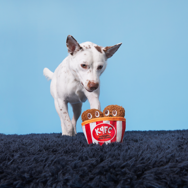 Kenpuppy Fried Chicken