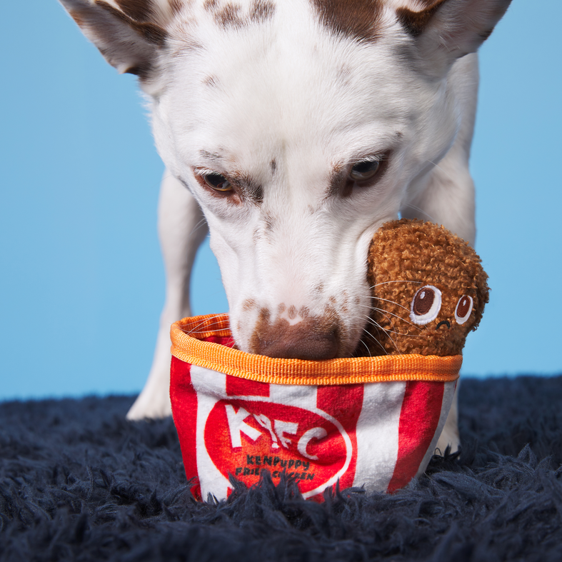 Kenpuppy Fried Chicken