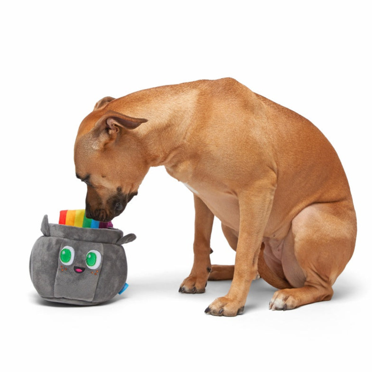 St. Pup's Pot o' Gold