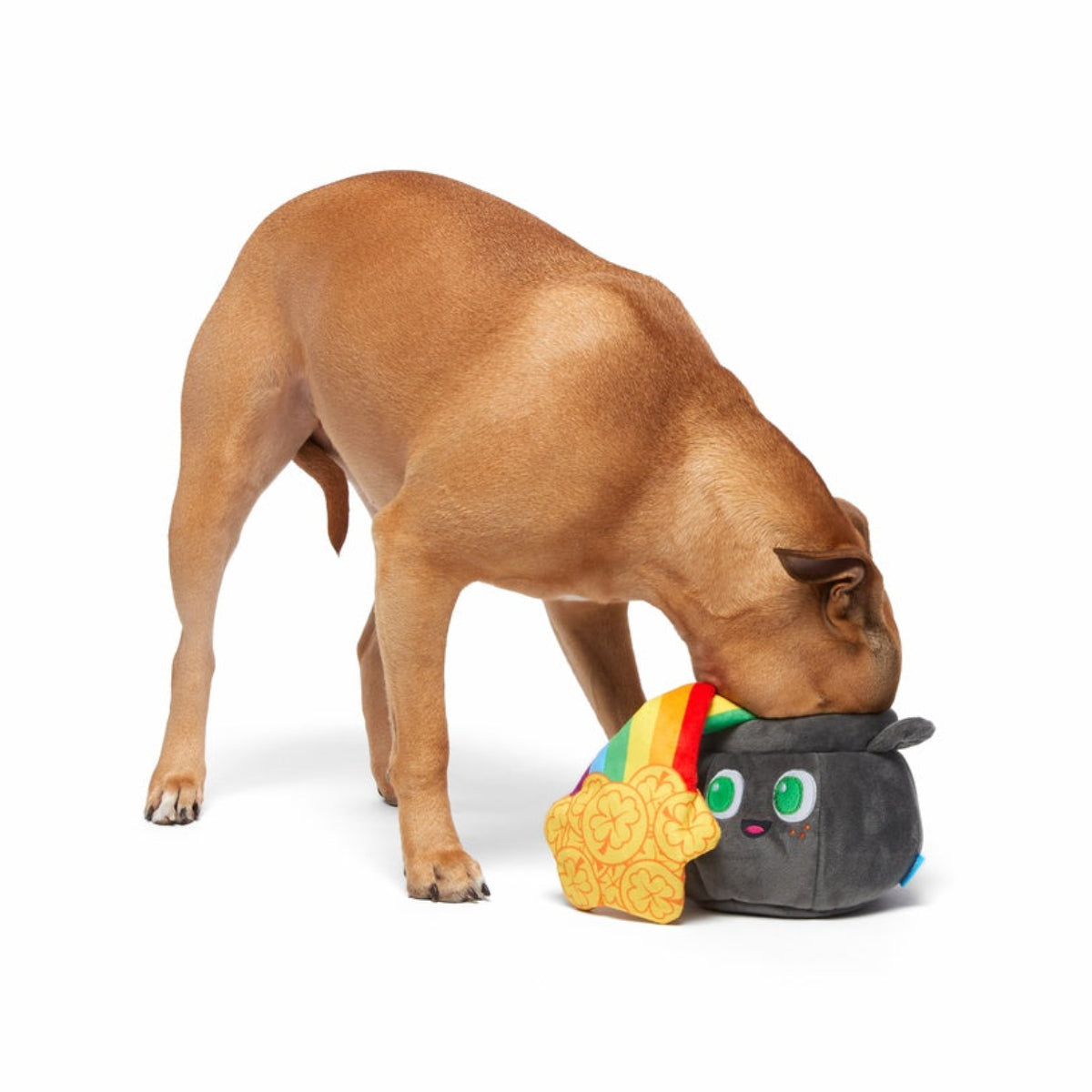 St. Pup's Pot o' Gold