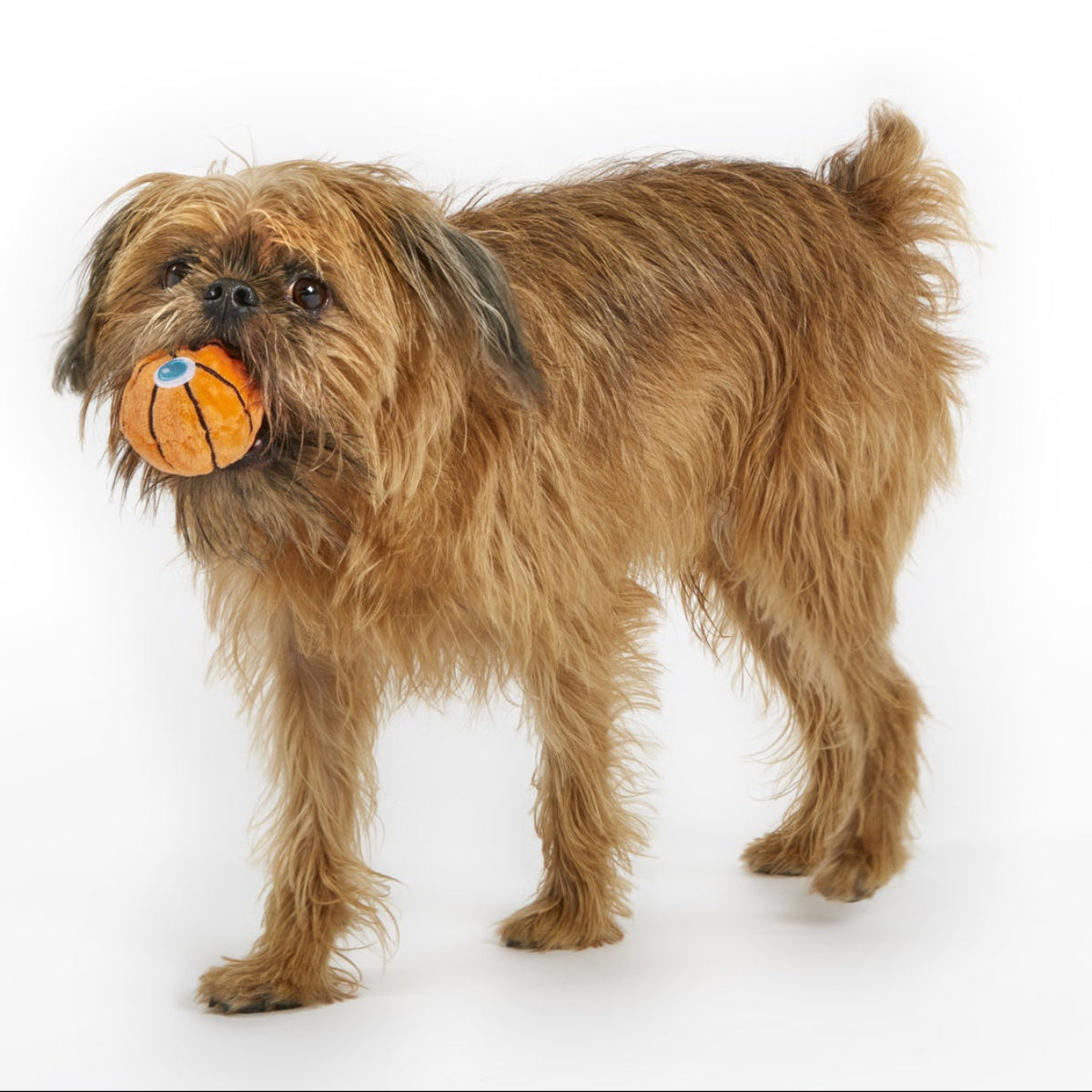 Drool & Dribble Basketball Plush Fetch Dog Toy