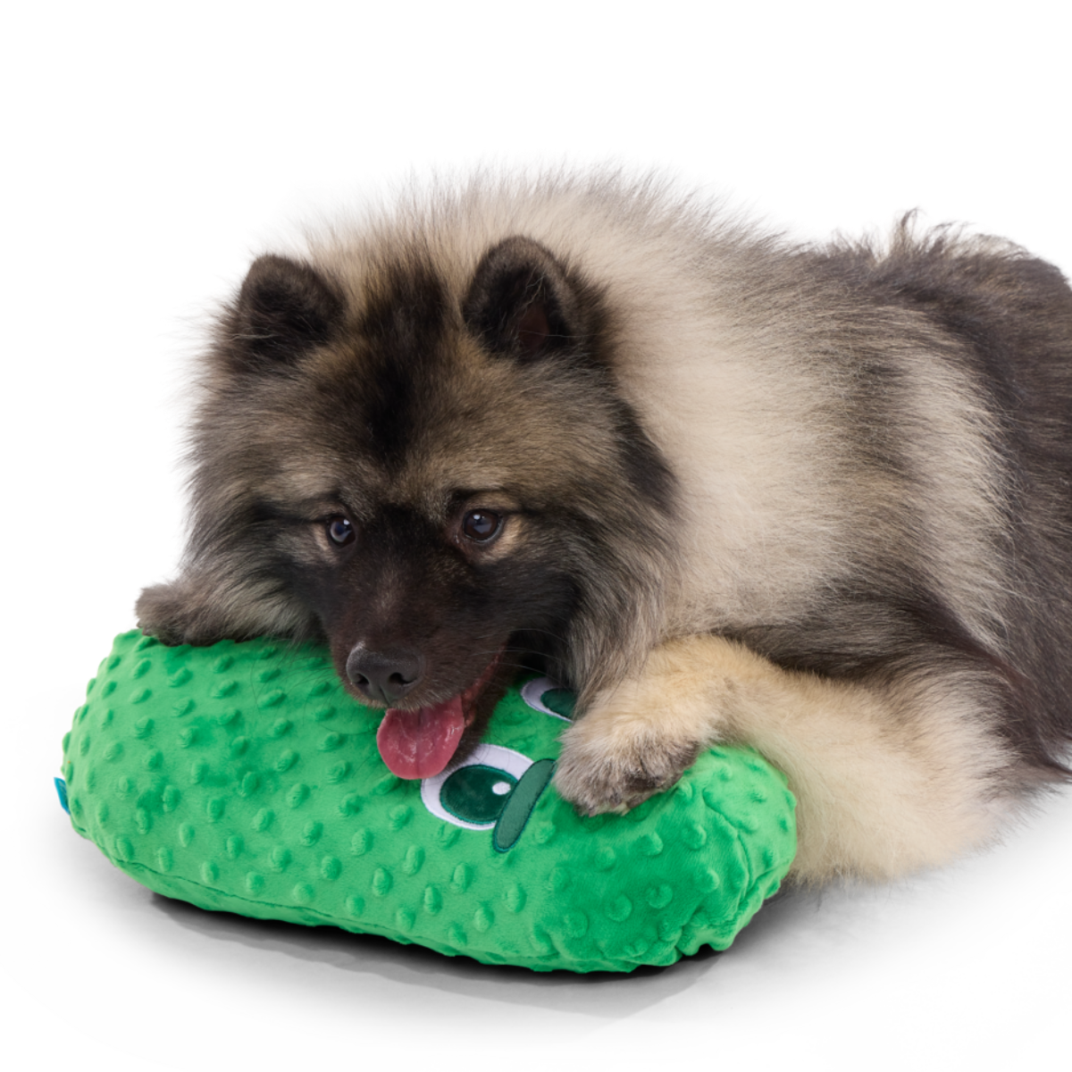 Big Dill Bill Plush Extra-Large Tug Dog Toy