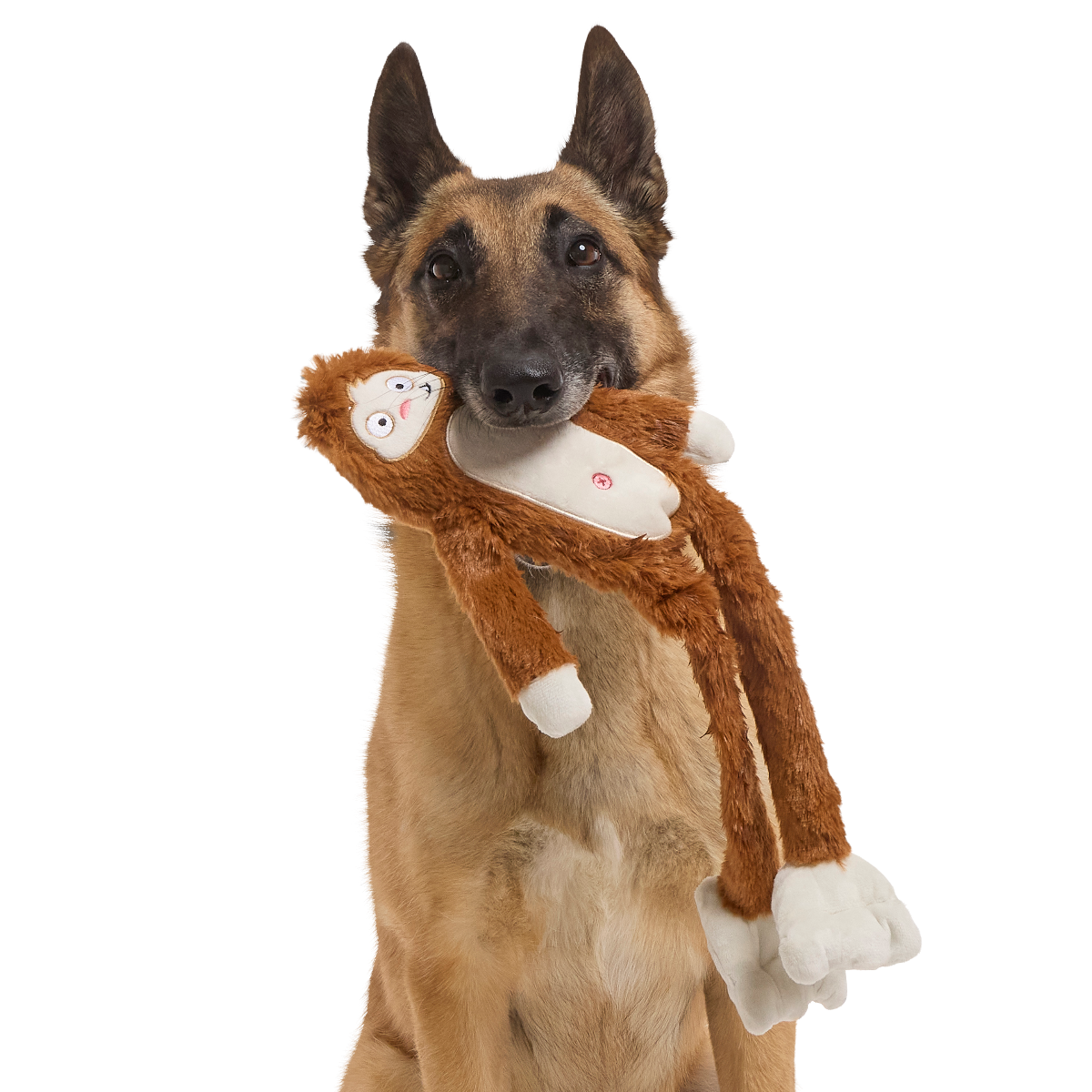 Hairy Henderson Plush Extra-Large + Tug Dog Toy – BARK