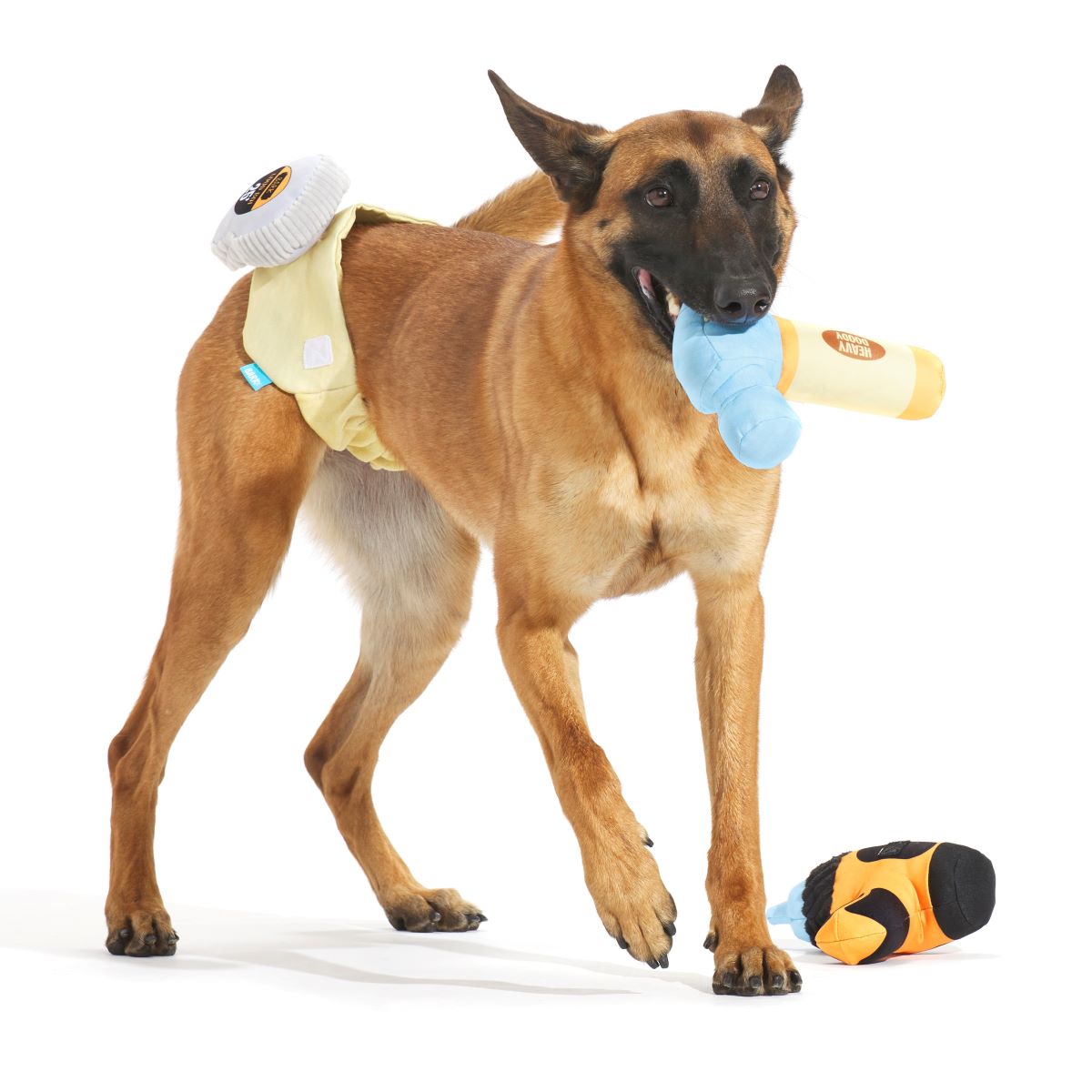 Fixer Pupper Tool Belt#Size_M/L