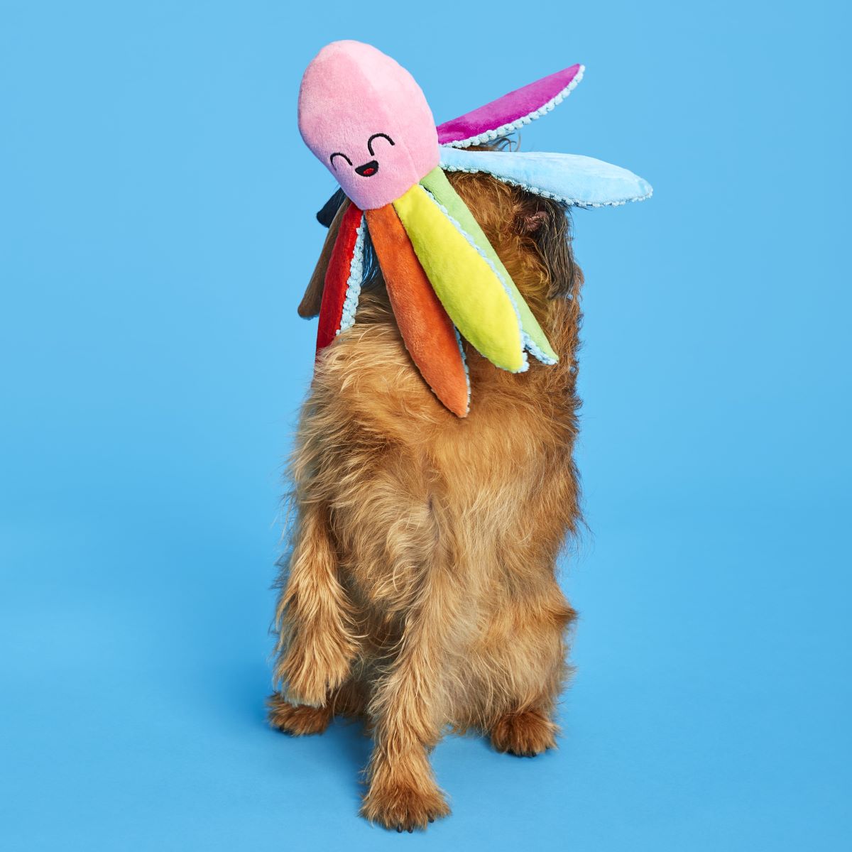 Out Ollie the Octopus Plush Tug Dog Toy