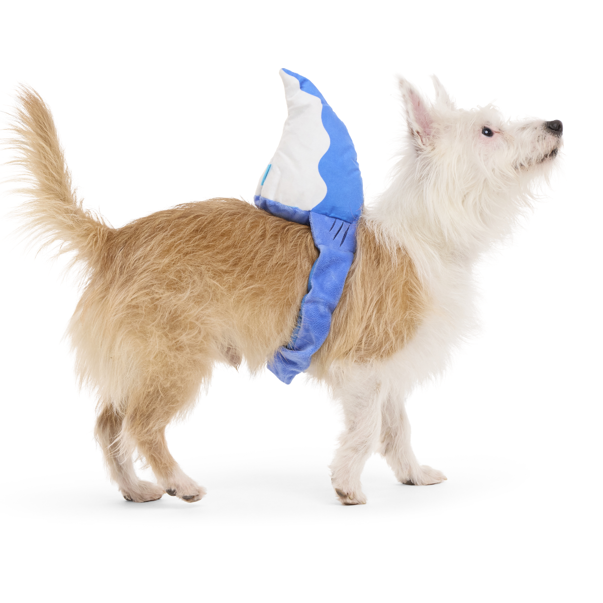 Bark Fin Plush Tug + Wearable Dog Toy