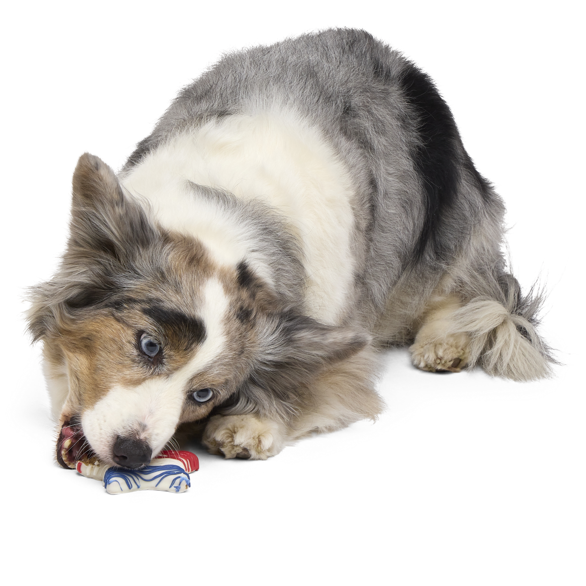 Red White & Chew Cookie