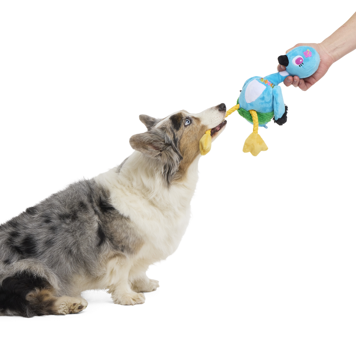 Lele the Nene Goose Plush Tug + Extra-Large Dog Toy