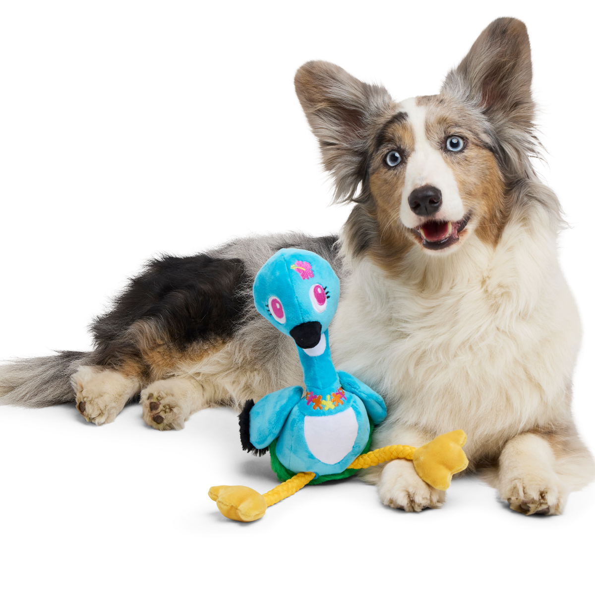 TKG　ヨーキ、トイプーちゃん Lele the Nene Goose Plush Tug + Extra-Large Dog Toy – BARK