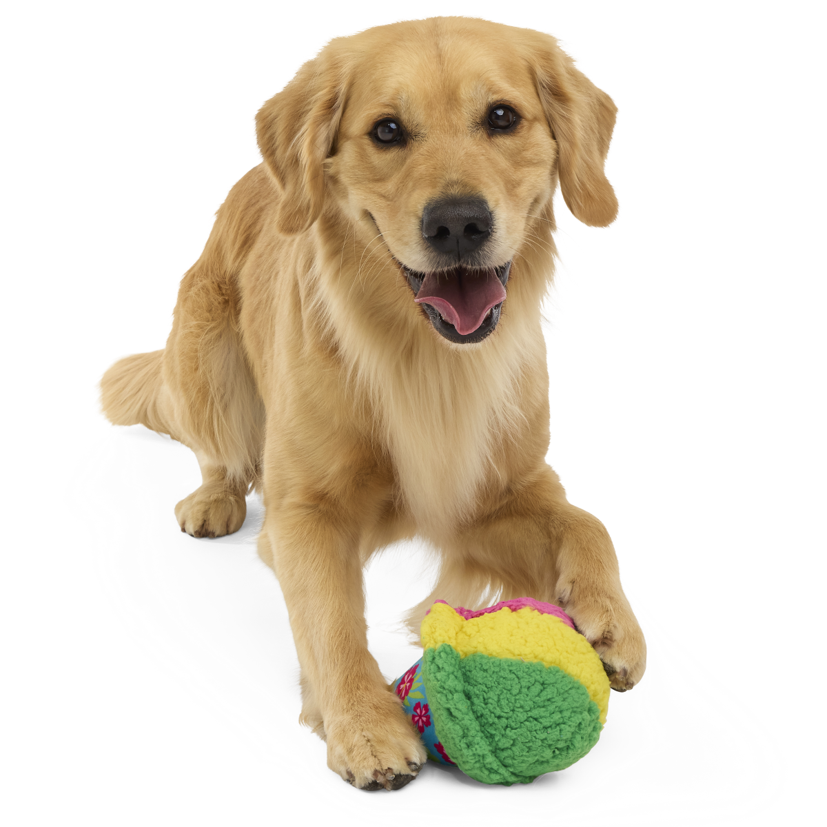 A-Sno-Ha Cone Plush Fetch Dog Toy