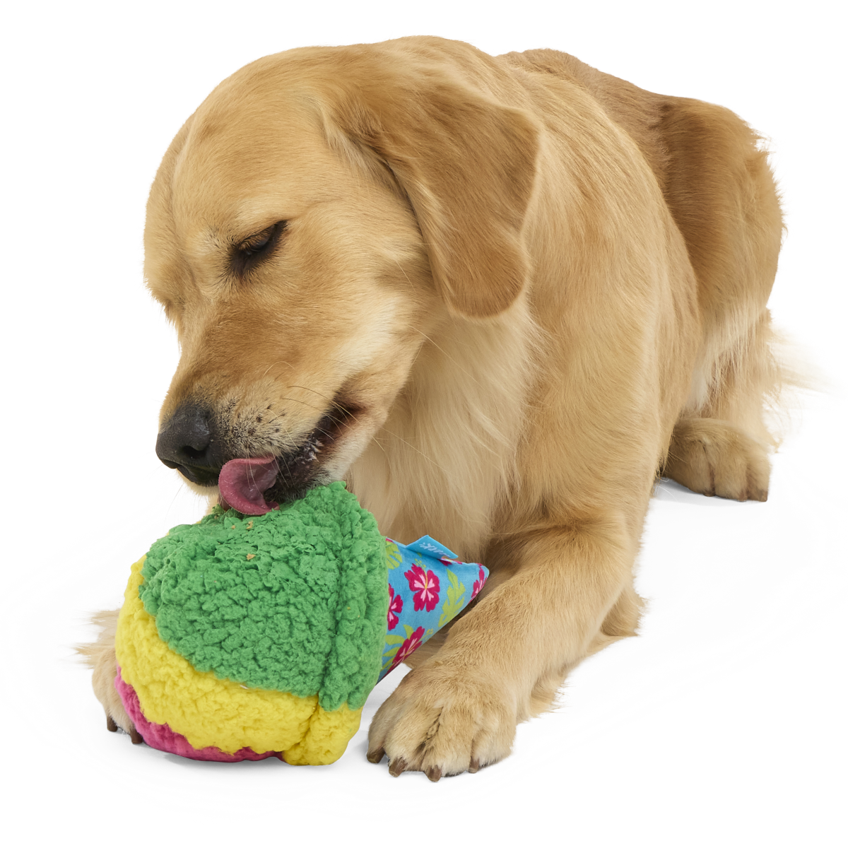 A-Sno-Ha Cone Plush Fetch Dog Toy
