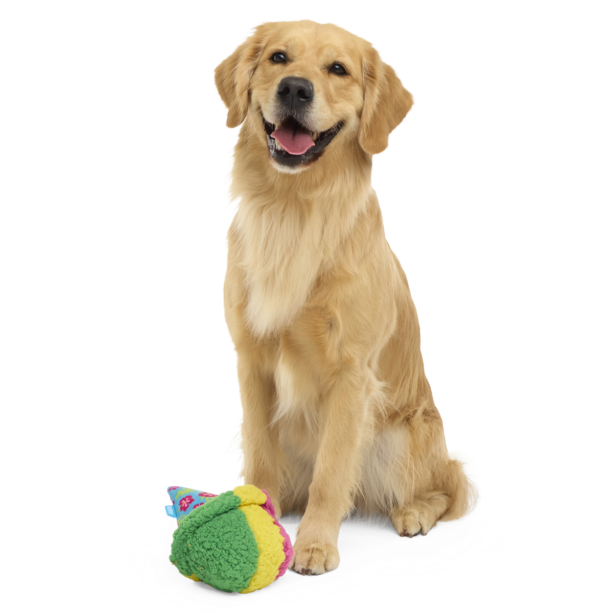 A-Sno-Ha Cone Plush Fetch Dog Toy