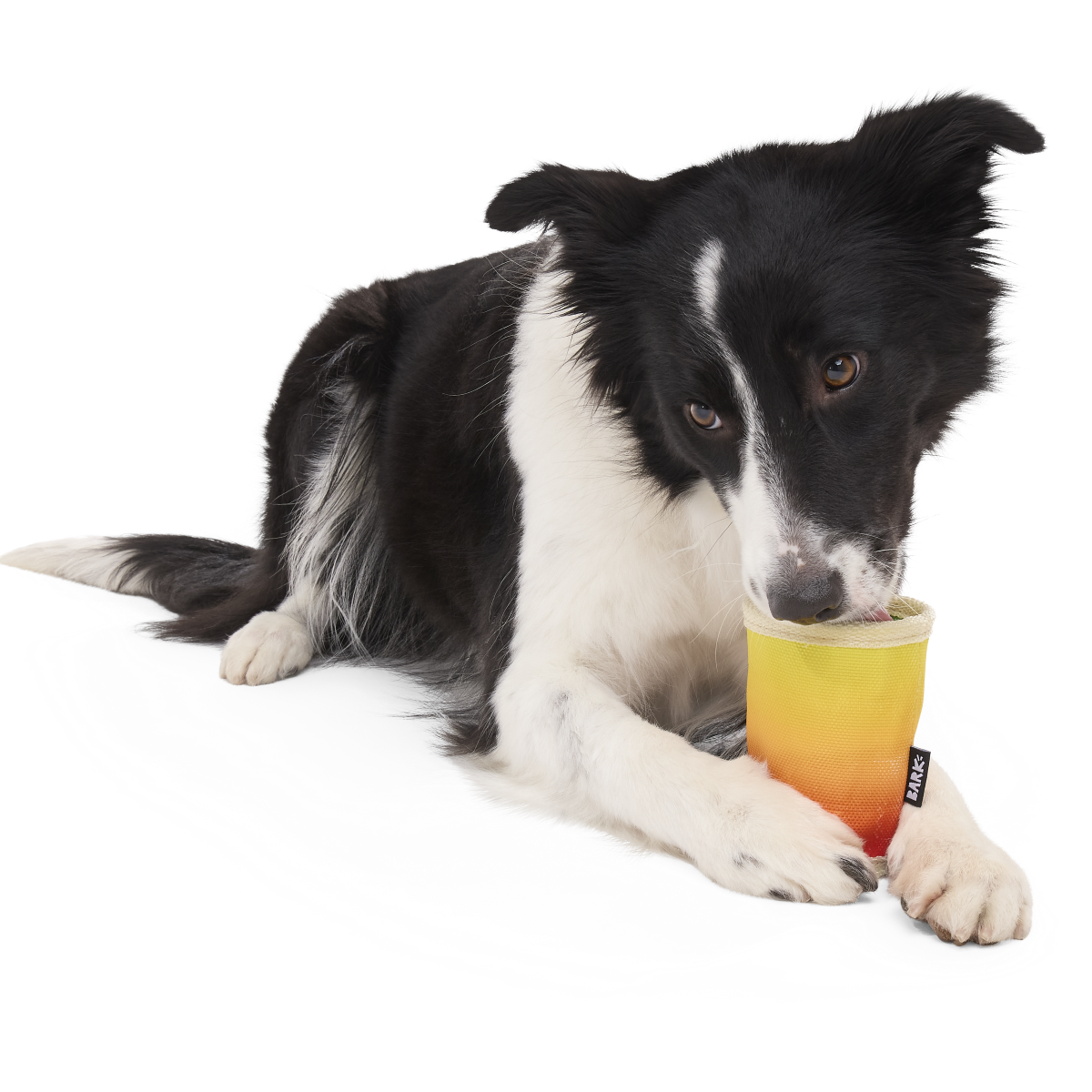 Mai Toy Super Chewer Durable 2-in-1 + Enrichment Dog Toy