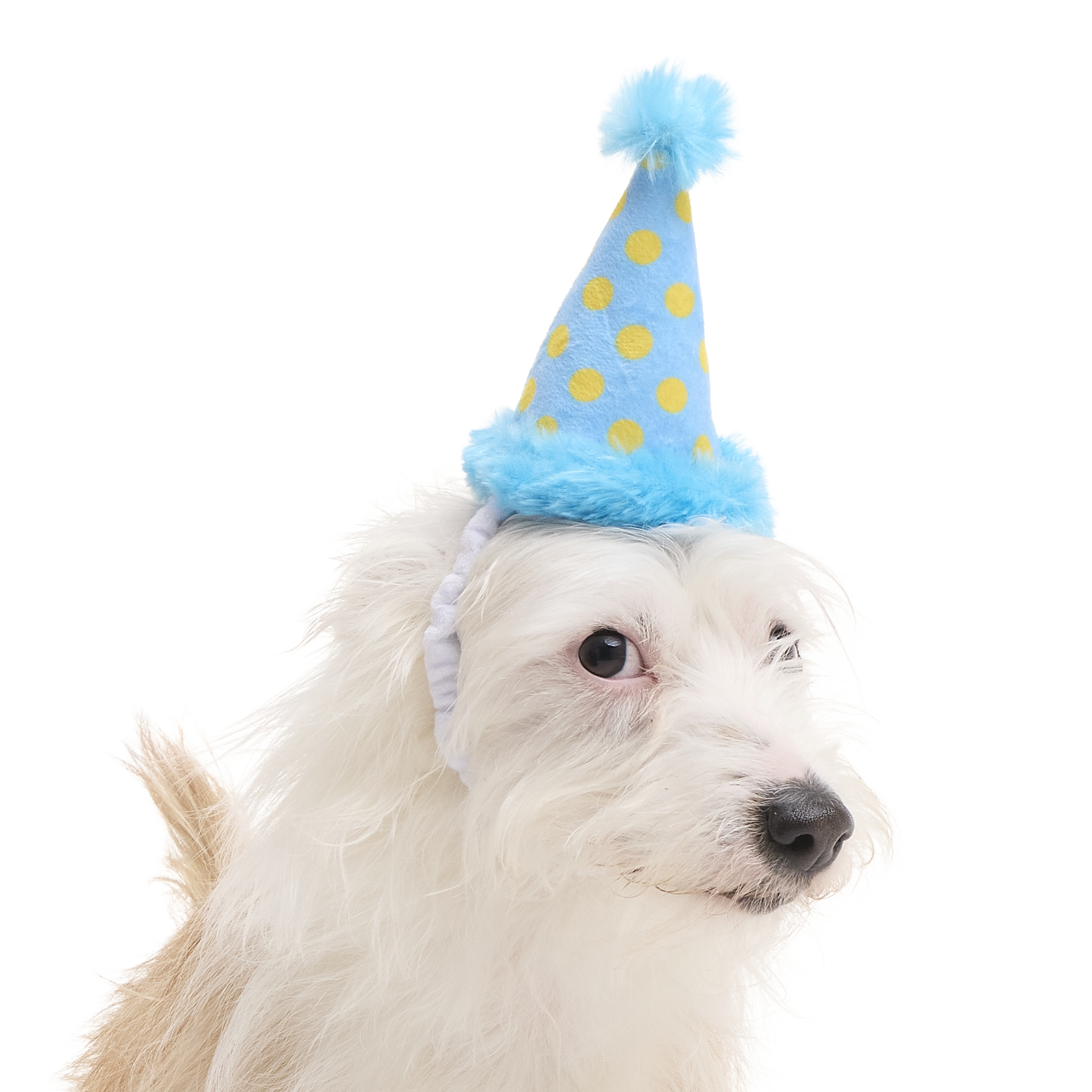 Party Hat