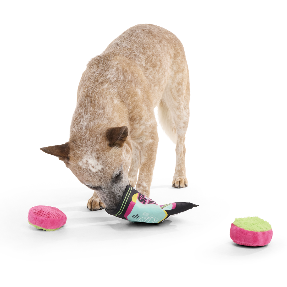 Space Yums! Plush Multi-Part + Enrichment + Fetch Dog Toy