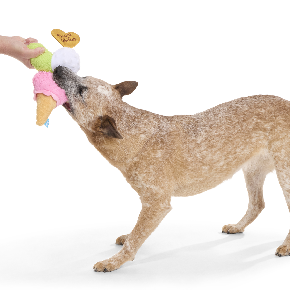 D'oggo Gelato Plush Dog Toy