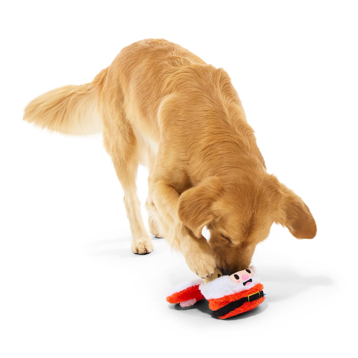 Santa's Jolly Cookie Jar