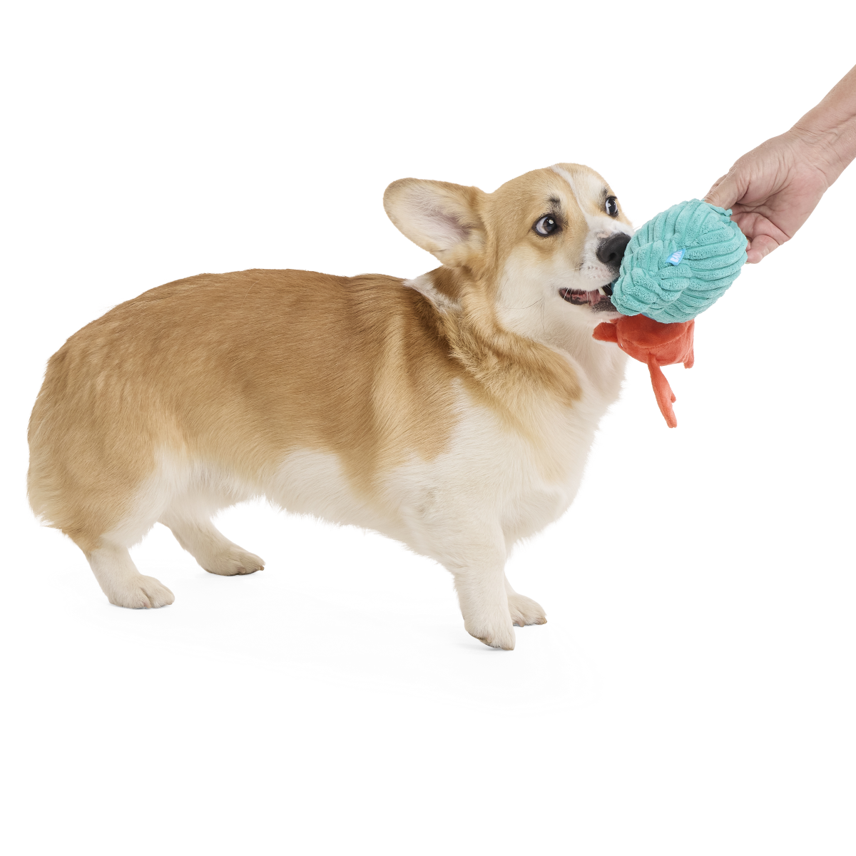 Herman the Hermit Plush Tug Dog Toy
