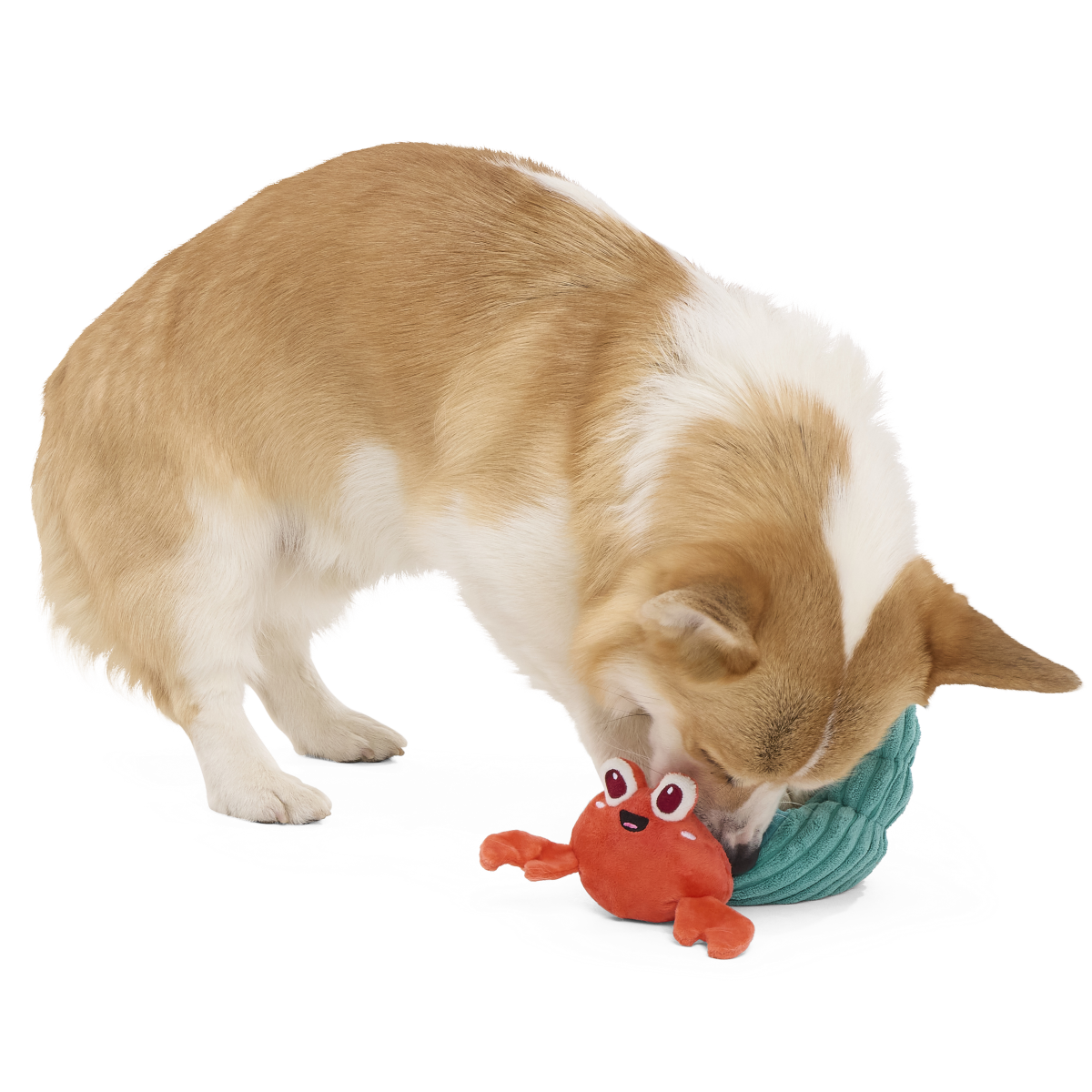 Herman the Hermit Plush Tug Dog Toy