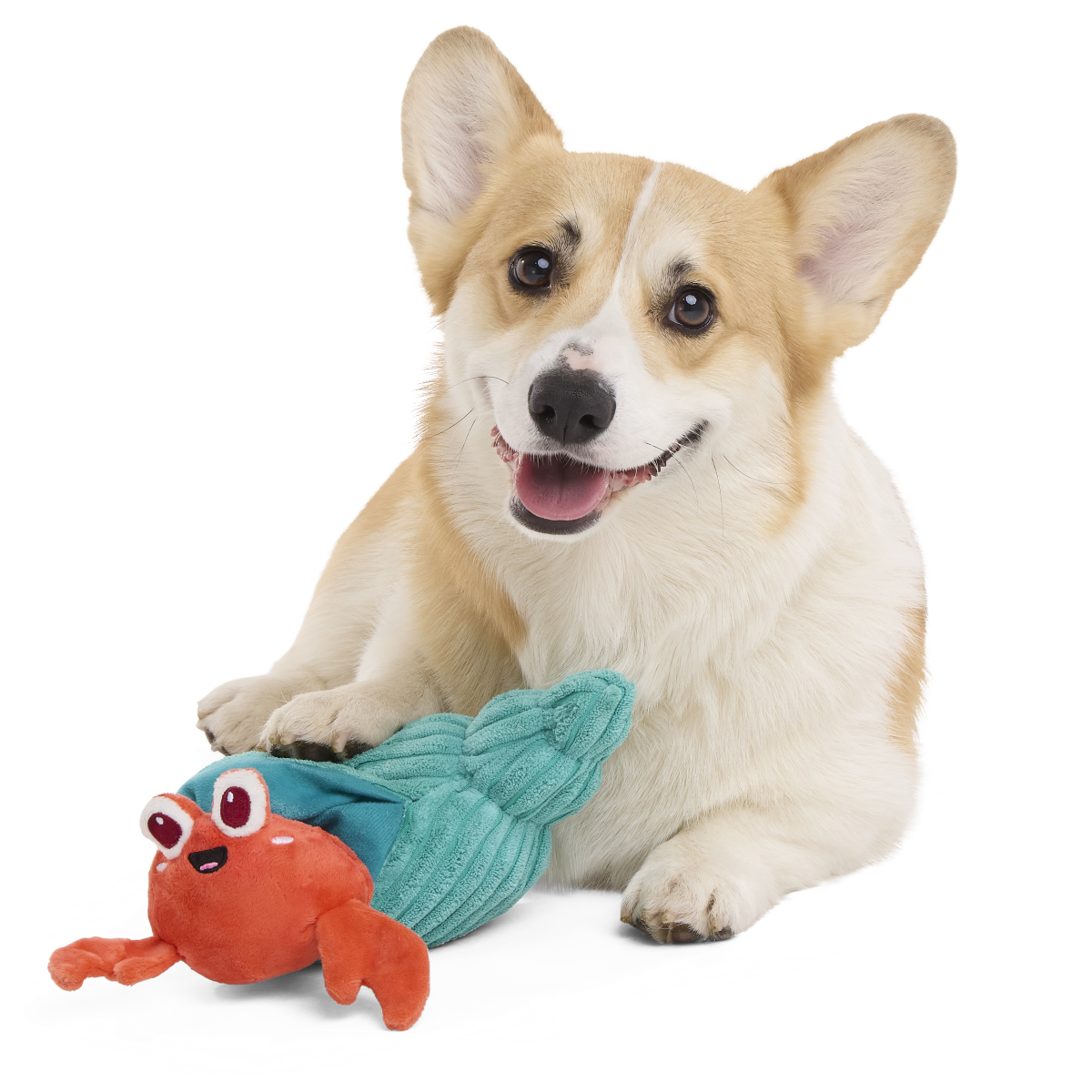 Herman the Hermit Plush Tug Dog Toy