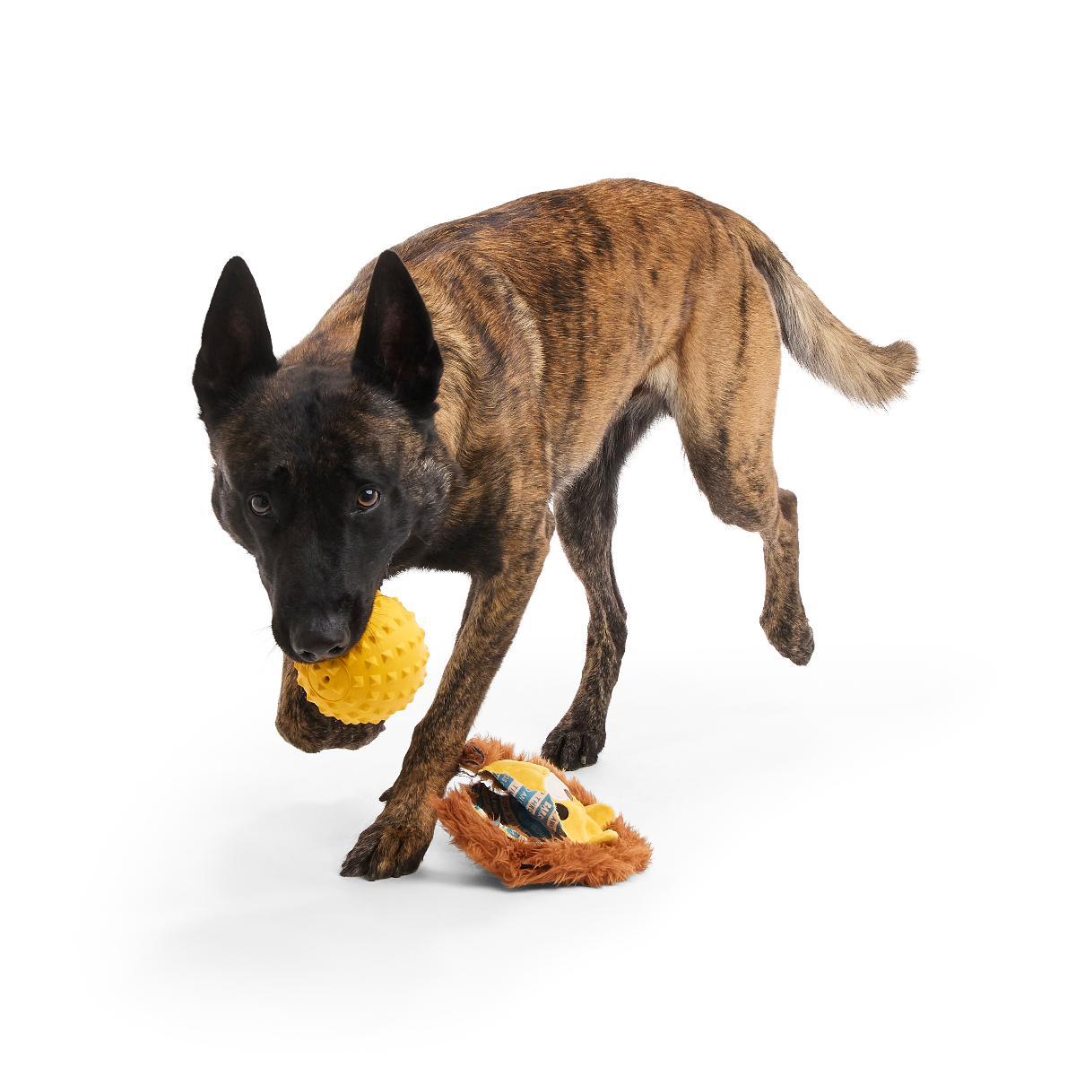 Lionel Lion Super Chewer Durable 2-in-1 + Fetch Dog Toy