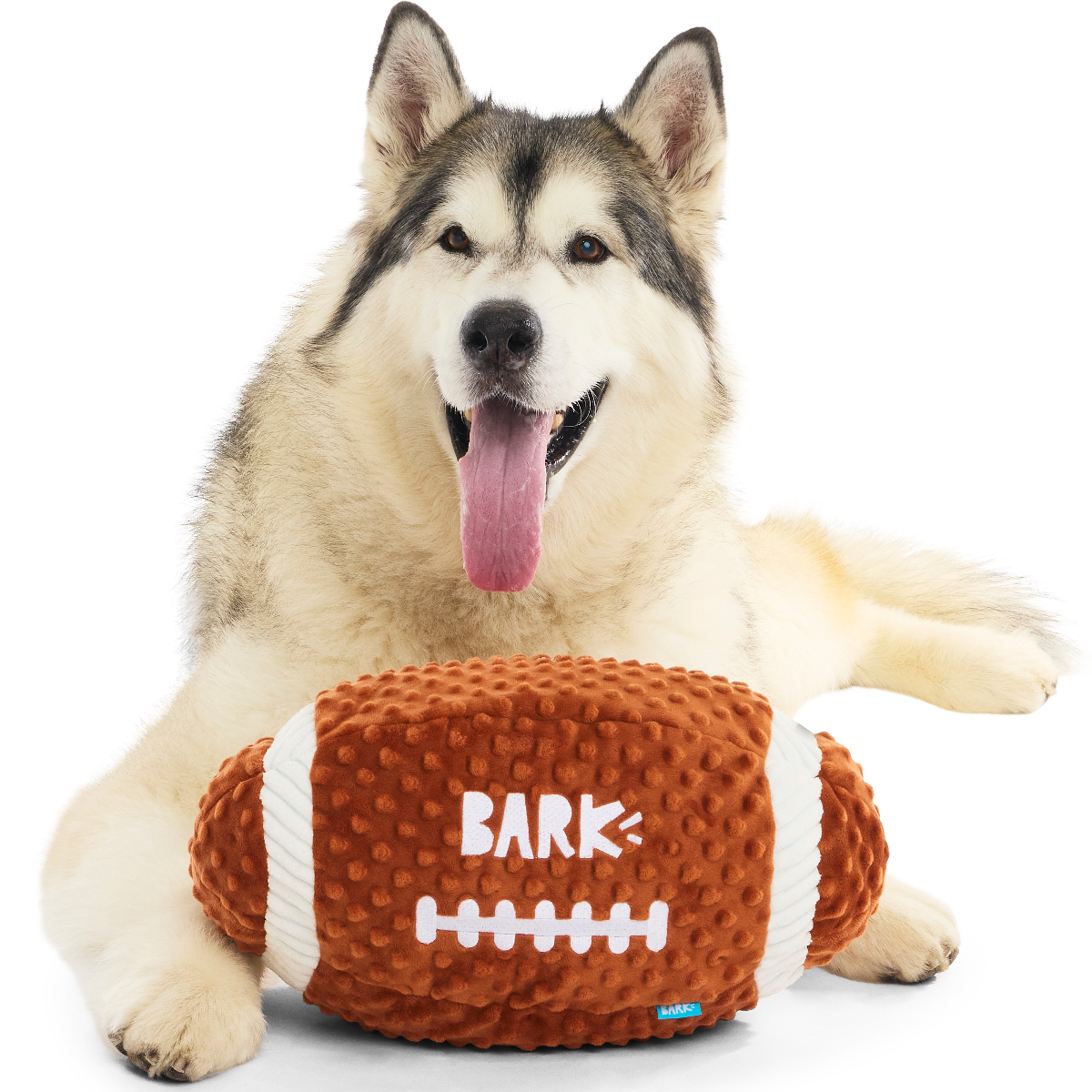 Wide Retriever Plush Extra-Large + Fetch Dog Toy – BARK