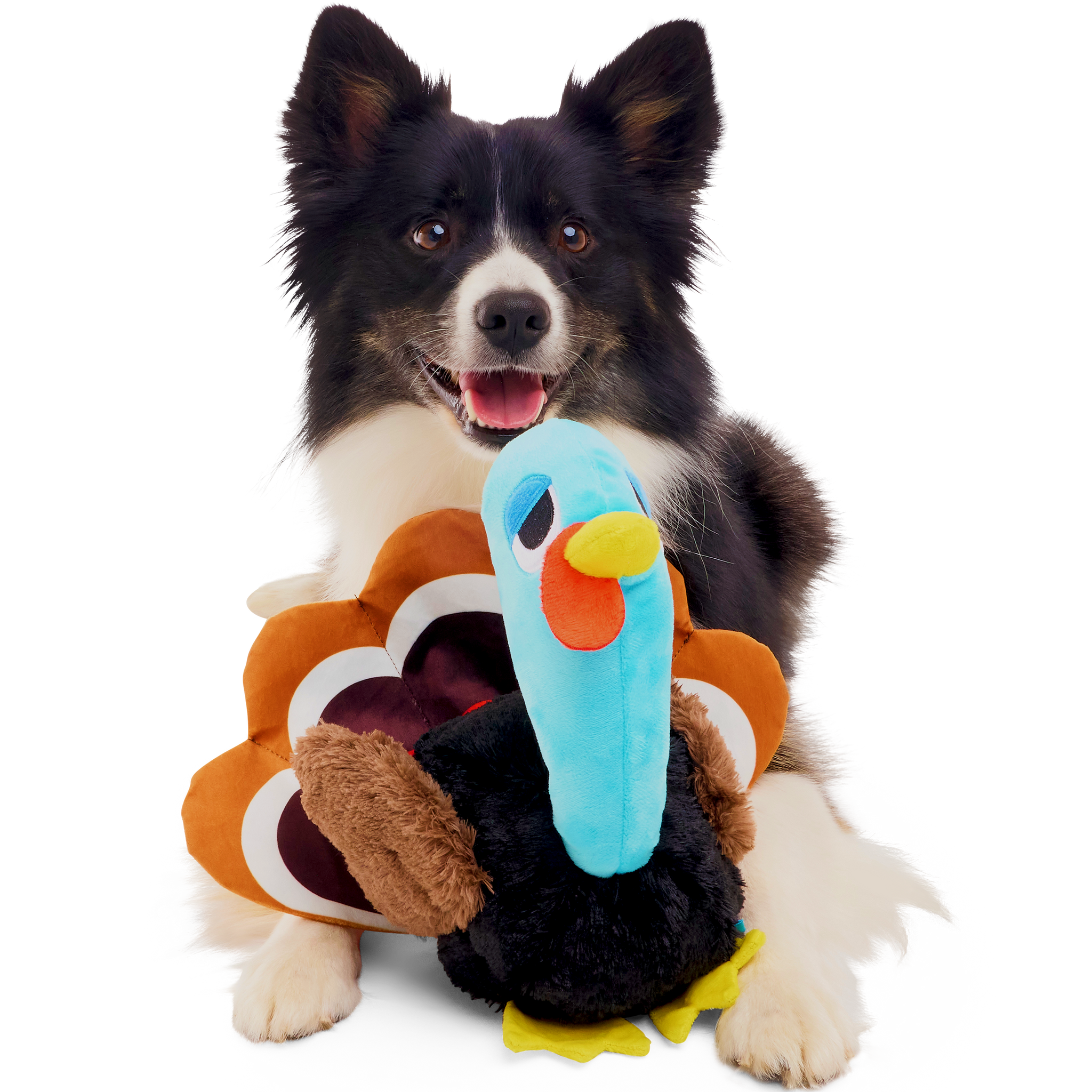 Barkさま Marshal & Coco Plush Multi-Part Dog Toy – BARK