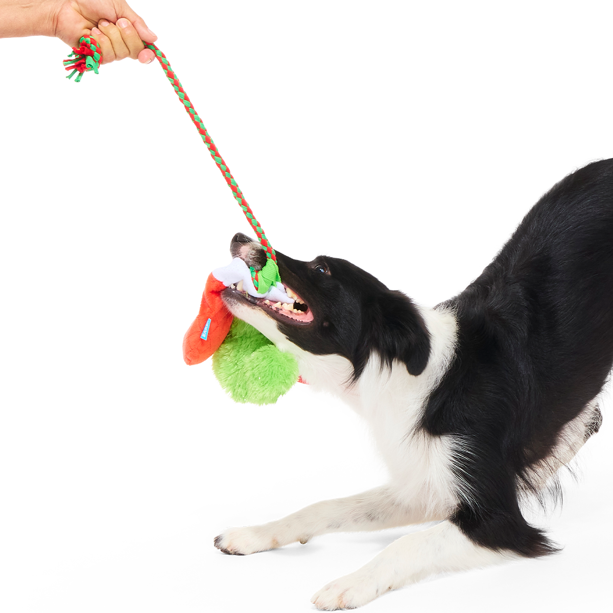Well Hung Stockings Plush Extra-Large + Tug + Enrichment Dog Toy